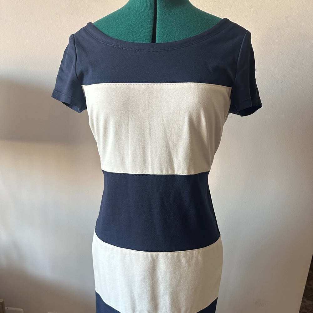 Banana Republic Striped Dress